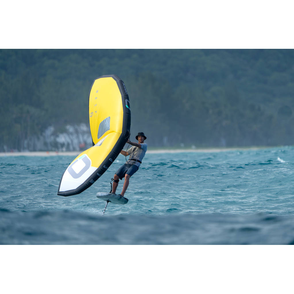 Ozone Wasp V3 Wing - Action